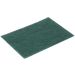 General Purpose Scouring Pad (1 10 Pads)