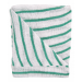 JanSan Stockinette Striped Dish Cloths,Green (1 10 Cloths)